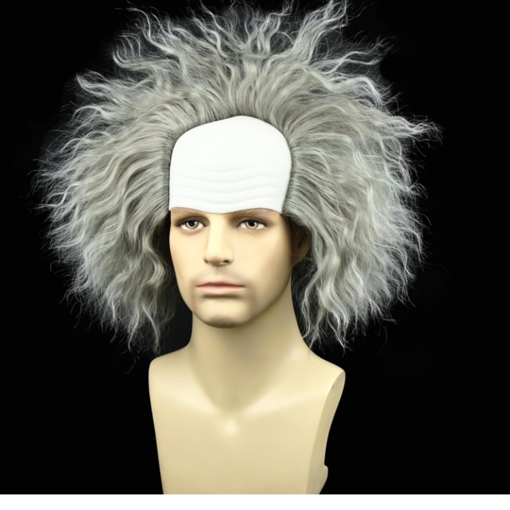 Gray Costume Wig for Men